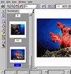 Online View/Markup Software Online View/Markup Software