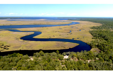 The Florida Department of Environmental Protection The Florida Department of Environmental Protection