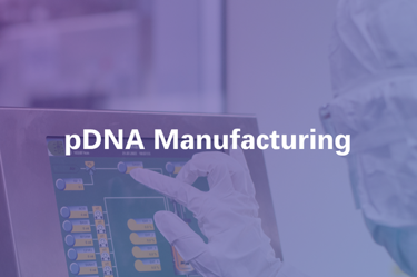 Screenshot 2026-04-06 075255 Screenshot 2026-04-06 075255