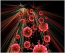 amsbiopr66-image