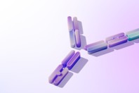 Corporate Brochure visual 8