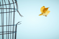 open mind-GettyImages-1357145597
