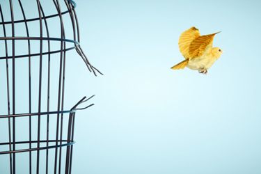 open mind-GettyImages-1357145597 open mind-GettyImages-1357145597