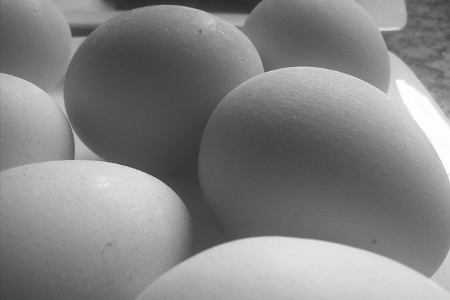 an antibacterial plastic made from egg whites