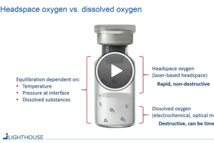Determining And Controlling Oxygen Levels In Sensitive Formulations Determining And Controlling Oxygen Levels In Sensitive Formulations