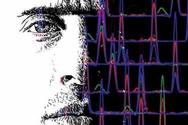 Quantitating The Complete Human Proteome