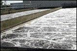 too-much-technology.gif too-much-technology.gif