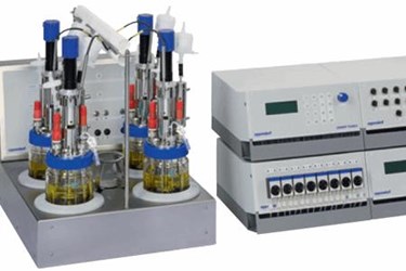 One Bioreactor System For The Bioproduction Of 2 High-Demand Chemicals