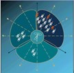 Smart Antennas Take Aim at 3G