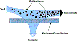 Before you clean your RO systems, you should understand them