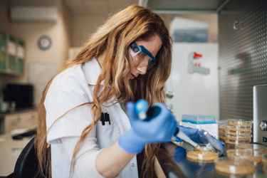 GettyImages-1142684567 cell culture GettyImages-1142684567 cell culture