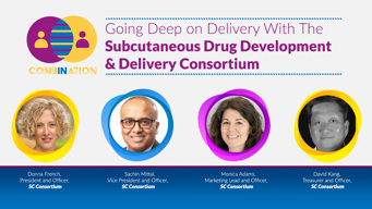 25_11_DDL_InComb_Subcutaneous_1280x720_Splash