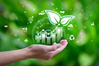 GettyImages-2185496754-green-sustainability-graph-leaf-business-growth