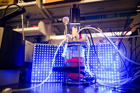 Researchers Use Light To Turn Yeast Into Biochemical Factories
