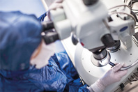 PO 3 - GCApp_Stereo Microscope (person with blue coat)