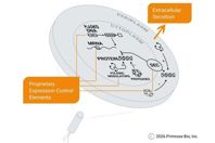 Primrose Bio - Bioprocess Online_Primrose_Extracellular Protein Secretion Into The Culture Media A Lever In Microbial Expression (002)