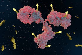Antibody-Drug Conjugates – Catalysts For Chemistry GettyImages-2152418328-ADC-antibody-drug-conjugate-3d