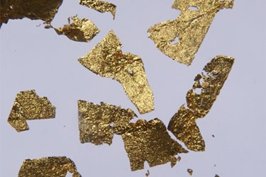 goldflakes goldflakes
