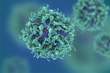 GettyImages-538032878 t-cell GettyImages-538032878 t-cell