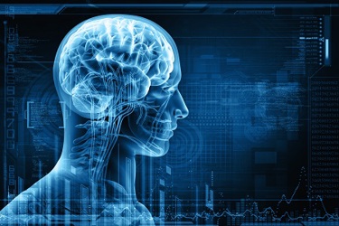 Brain Brain