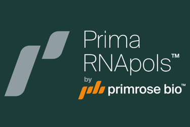 Advancing RNA_Primrose White paper Melanie Venter