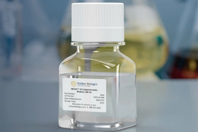 Cryopreservation Media: NB-KUL™ 10 NB-KUL 10