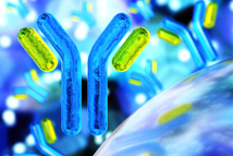 GettyImages-1249012024-antibody-immunoglobulin-immune