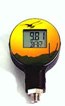 Digital Pressure Indicator