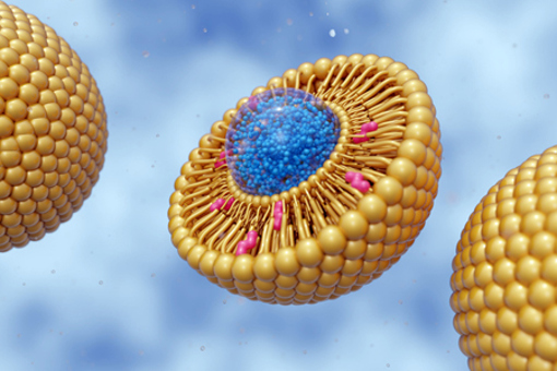 Nanomedicine inside of liposome lipid bilayer-GettyImages-2195978369