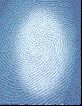 Finger Print Finger Print