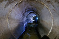 GettyImages-2165854943_450_300