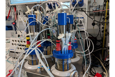 Anaerobic Clostridium Beijerinckii Fermentation In Small- Scale ...