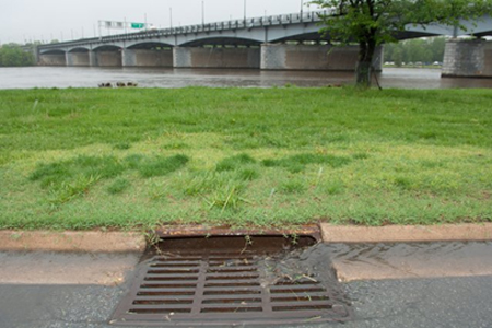 Bridging The Gap Equitable Investment In City Greenspace - Vimarsana News