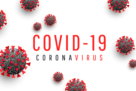 Using System Risk Structures To Evaluate COVID-19 Pandemic Risks - Vimarsana News