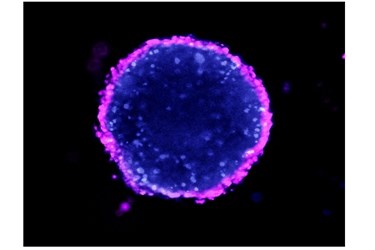 AMSBIO.jpg
