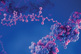 Peptide