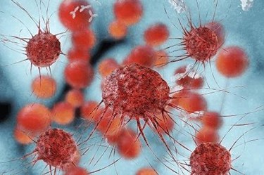 Genelux Trials Use Vaccine Virus To Attack Tumors