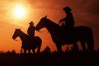 Riding With The Drug “Serializers” Of Pharma