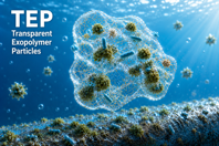 TEP feature image with only title