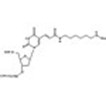 5’-DMT-T(C6 Amino)-Suc-CPG (5'-DMT-T(Hexyl-NH-TFA)-Suc-CPG); 500 Å