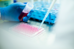 Generation Of A Universal AAV Packaging Cell Line For Commercial Gene Therapy Manufacturing GettyImages-1491009758 lab, cell culture