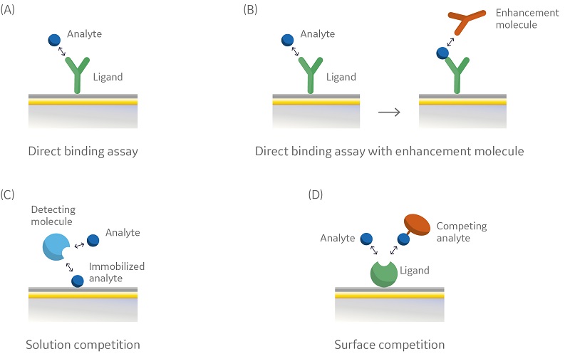 Converting From Elisa To Biacore Spr Assays