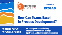 How Can Teams Excel In Process Development?