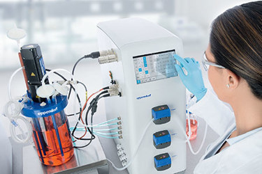 Eppendorf keep growing