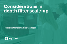 Considerations in depth filter