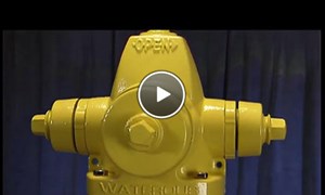 Hydrant: 5 1/4" Waterous Pacer Overview hydrant-waterous-pacer.jpg