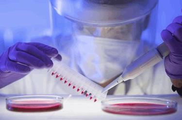 Contamination Risk Mitigation In Cell Culture Media Contamination Risk Mitigation In Cell Culture Media