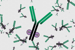 Roche - Glycolysation Roche - Glycolysation