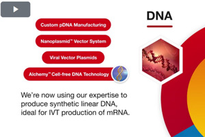 No Cells, No Limits To DNA Production