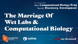 23_12_BPL_AI_Webinar_Seg06